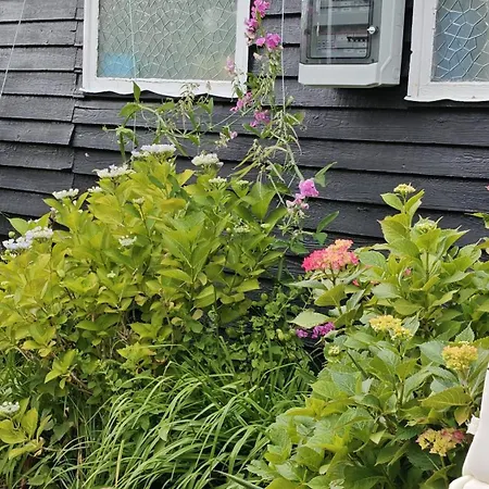 펜션 In Scenic Lango